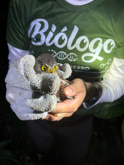 biologia reserva florestal humaita (8).jpeg