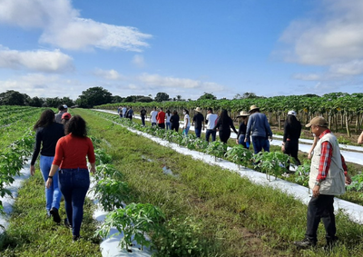 imagens_materias_capa - 2025-02-06T102120.885.png