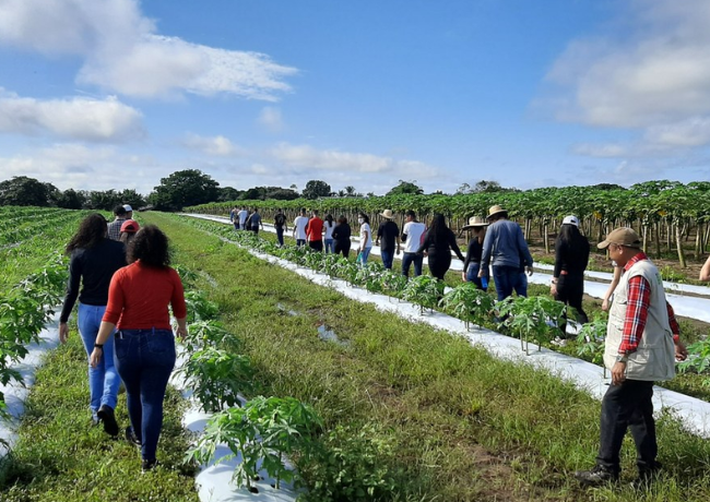 imagens_materias_capa - 2025-02-06T102120.885.png