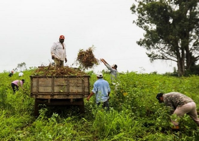Assentamento rural no PR_capa.jpeg