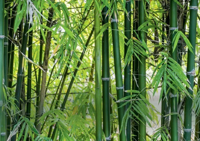 imagens_materias_capa - 2025-07-09T102503.007.png