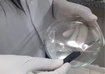 imagens_materias_capa - 2025-07-09T102547.053.png