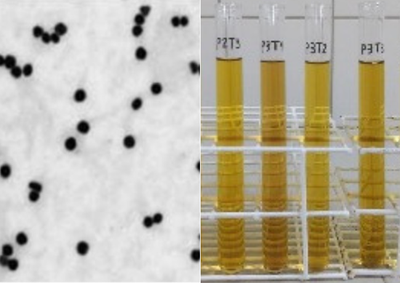 imagens_materias_capa - 2025-07-09T110928.932.png