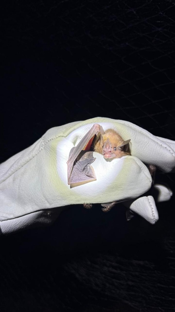 Aula de campo_ (5).jpg