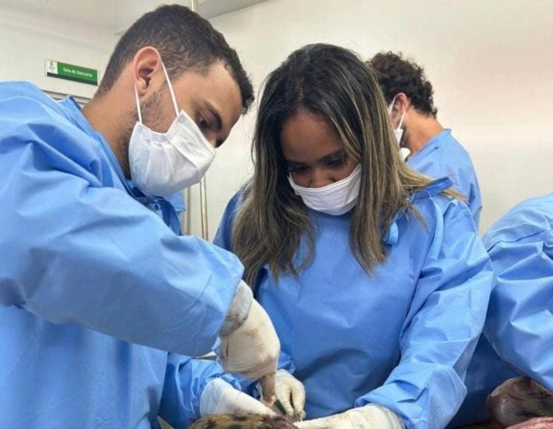 Inauguração e curso (4).jpg