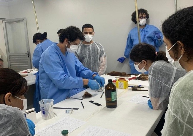 Inauguração e curso_capa (1).jpg