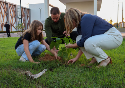 imagens_materias_capa - 2025-06-04T091254.011.png