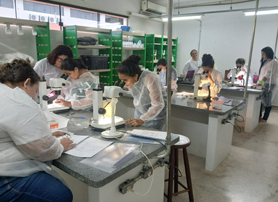 Curso extensão3.png