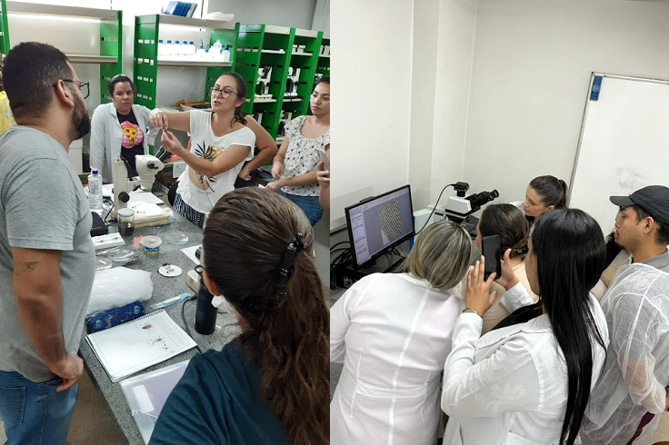 Curso extensão4.png