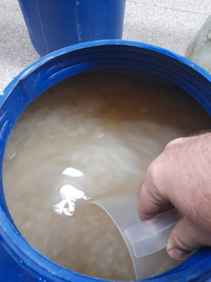 Produção de sabão4_TK (1).jpeg