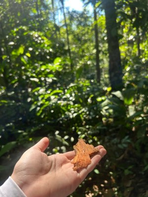 Visita a Resex Chico Menses (3).jpeg