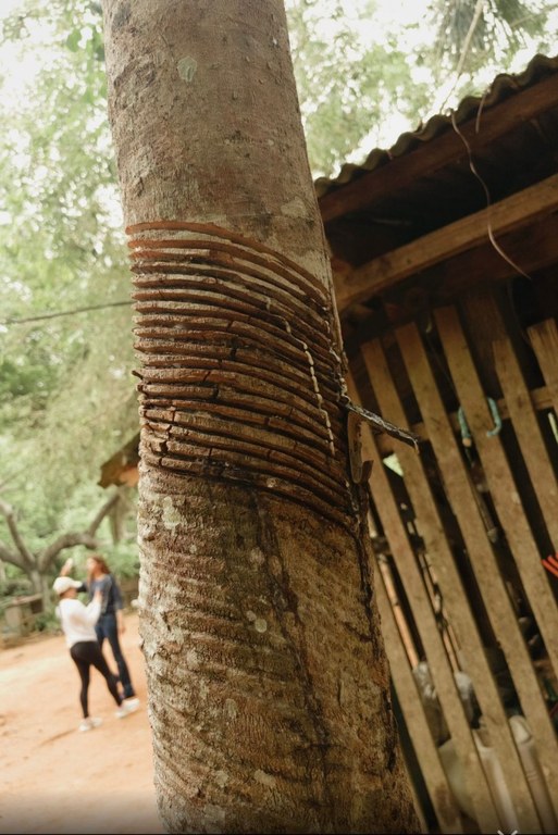 Visita a Resex Chico Menses (5).jpeg