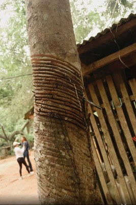 Visita a Resex Chico Menses (5).jpeg