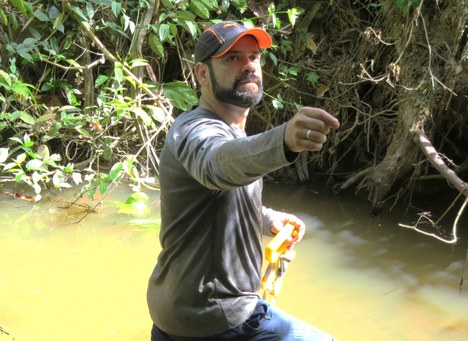 Novas espécies de insetos_(2).JPG