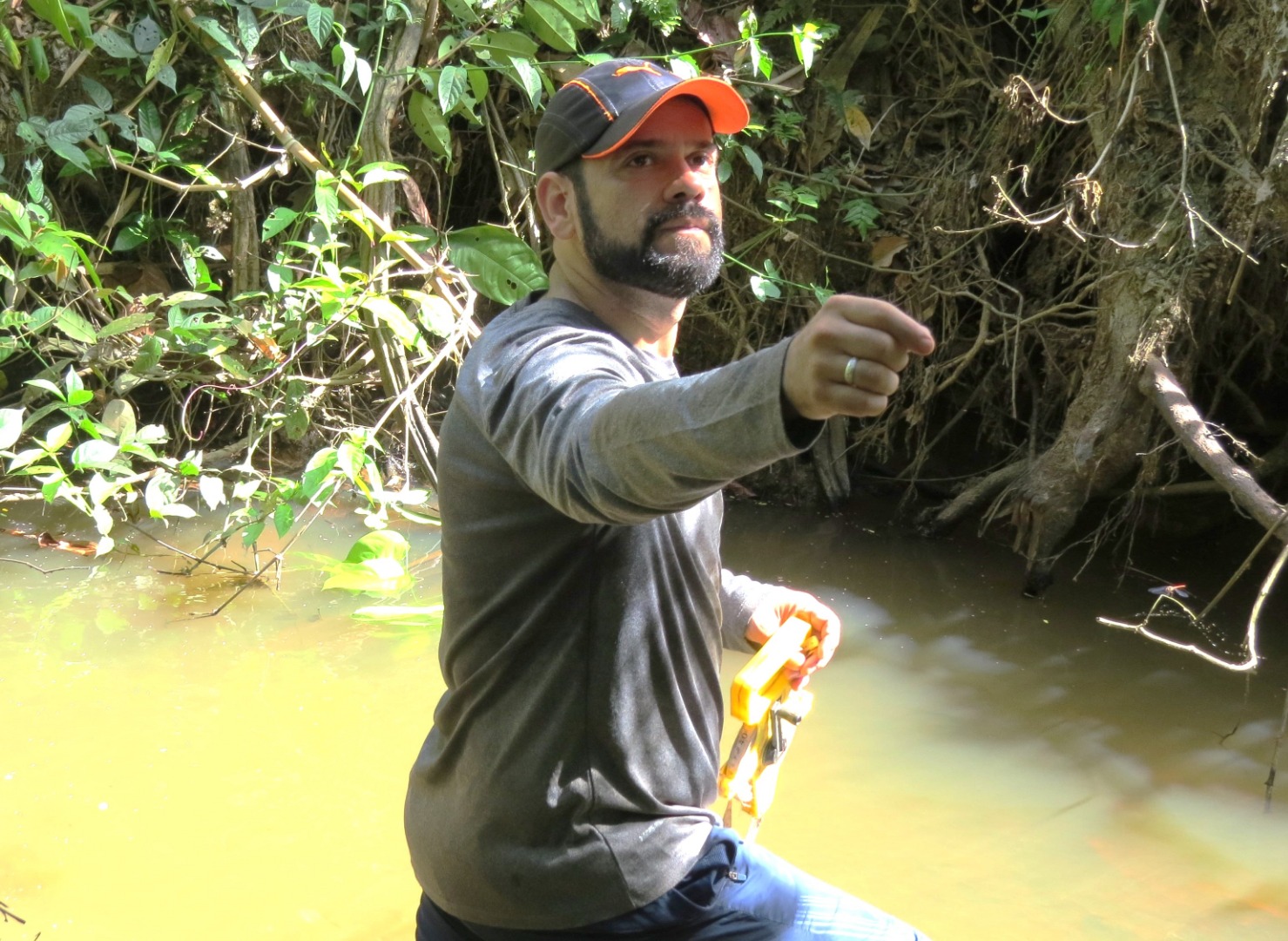 Novas espécies de insetos_(2).JPG