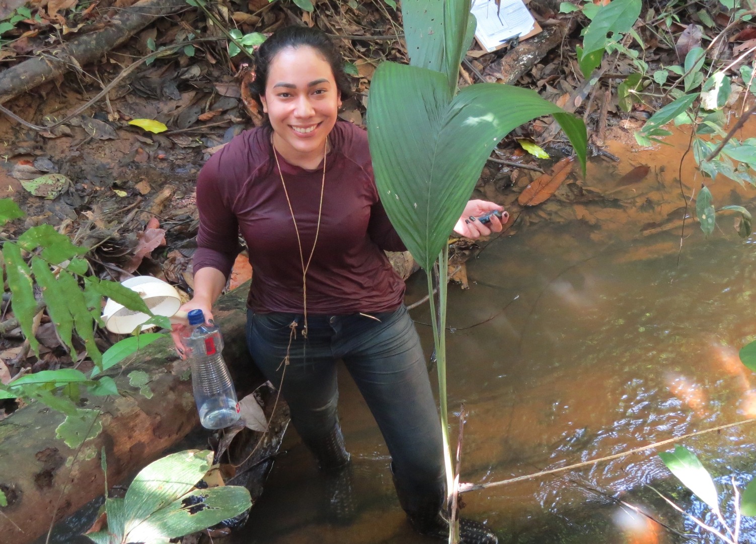 Novas espécies de insetos_(3).JPG