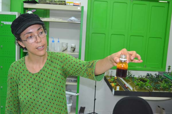 08-03-16 cbs-nucleo_pesquisa (1).jpg